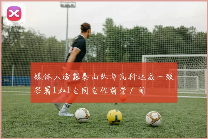 媒体人透露泰山队与瓦科达成一致签署1加1合同合作前景广阔