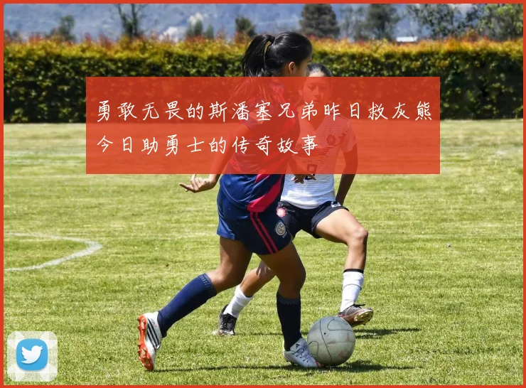 勇敢无畏的斯潘塞兄弟昨日救灰熊今日助勇士的传奇故事