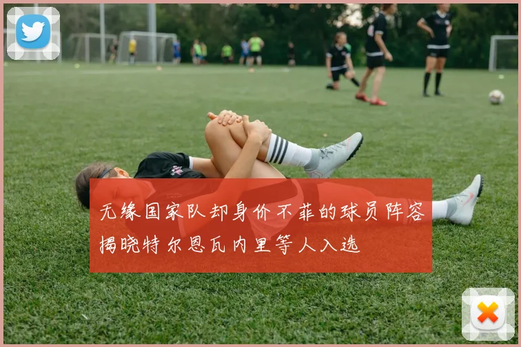 无缘国家队却身价不菲的球员阵容揭晓特尔恩瓦内里等人入选