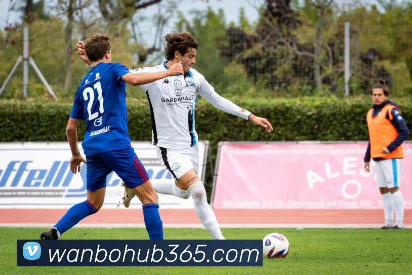 万博体育平台生态图