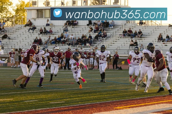 数据防护可视化